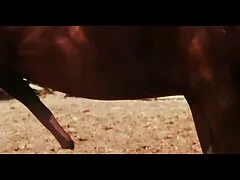 يمارس الجنس مع افلام اجنبي سكسي جميع الخادمات