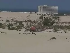 يتمتع الجميع فيلم رومانسي سكسي اجنبي